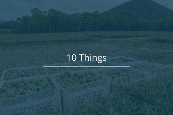 10 Things 260629