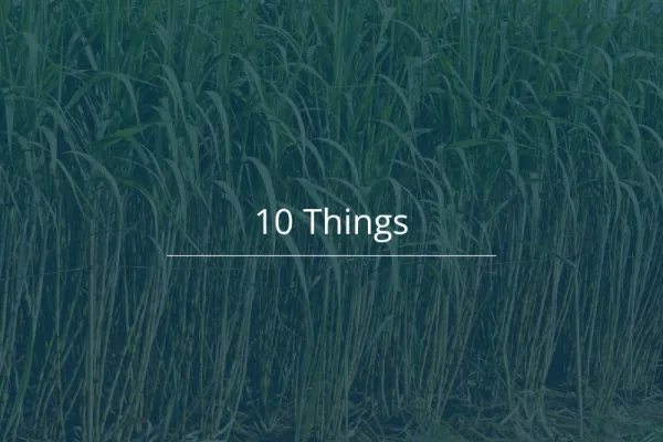 10 Things 20260928