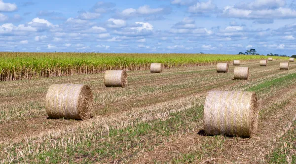 Farm Business Resilience Program Banner