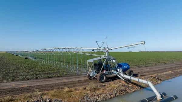 Cotton irrigation