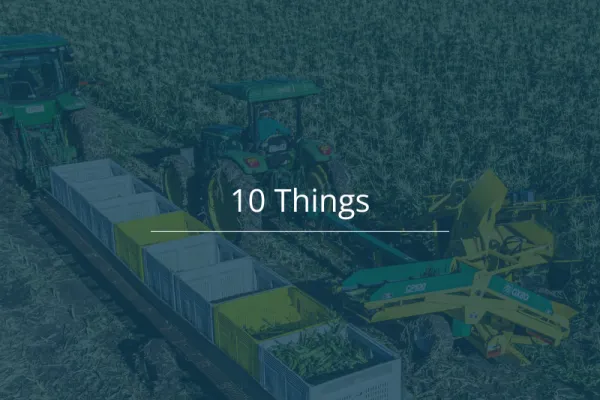 10 Things 260622