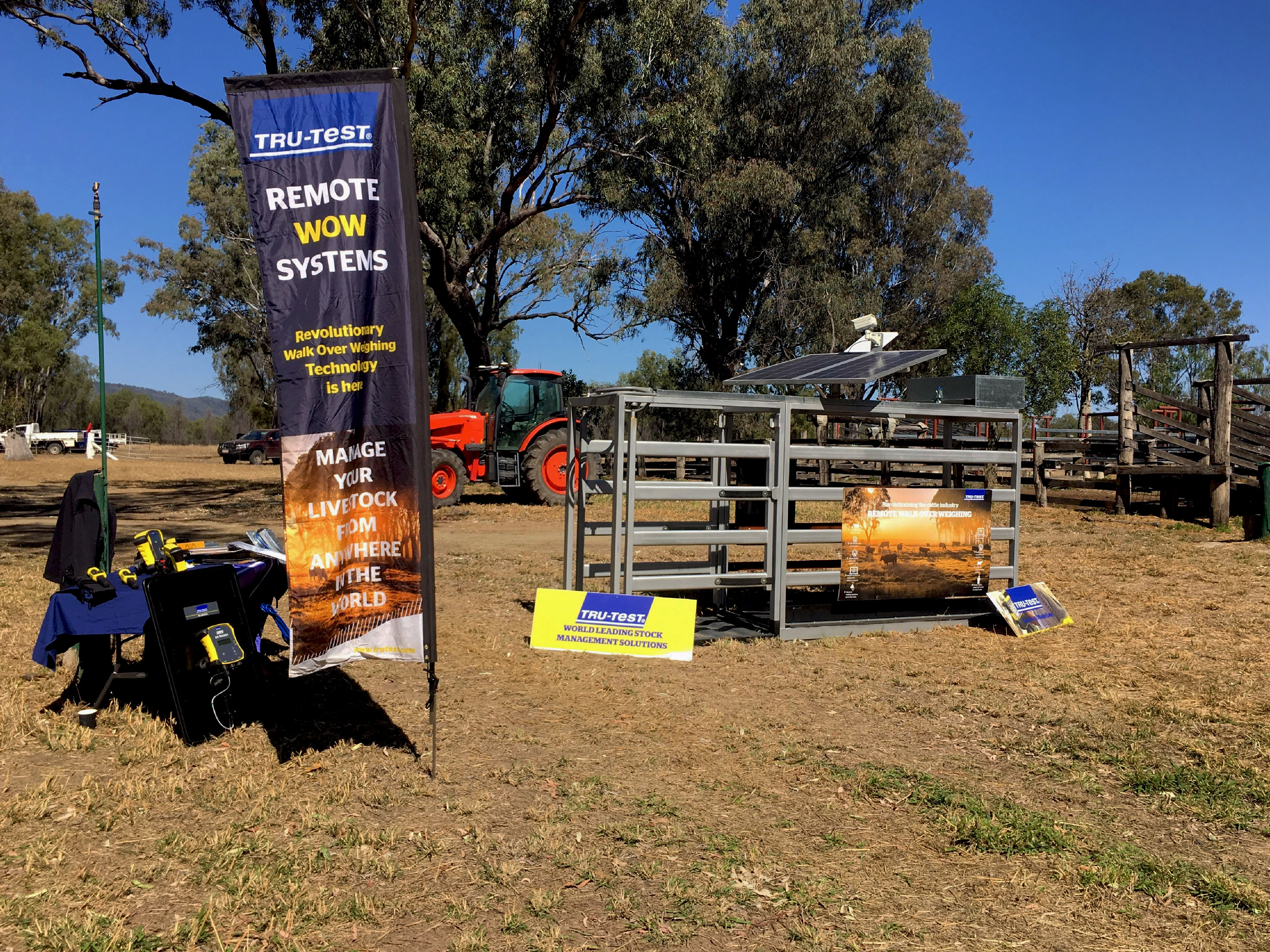 Walk over weighing technology changing the face of the cattle industry ...